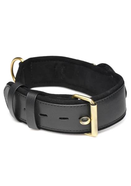 Tracer Tracking Collar