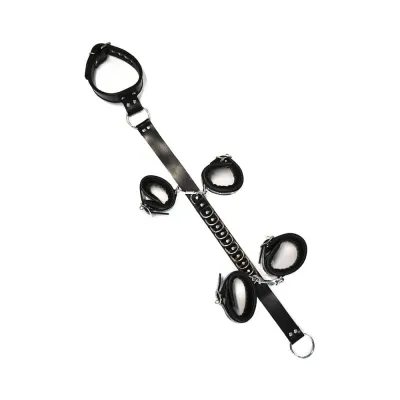 Rouge D Ring Hogtie Black red