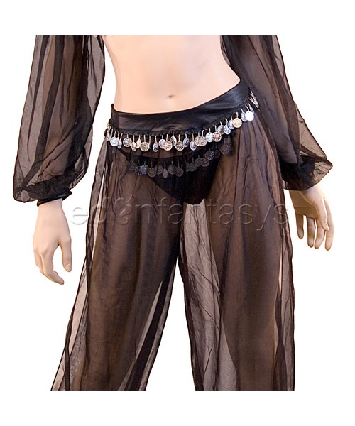 Arabian dancer costume