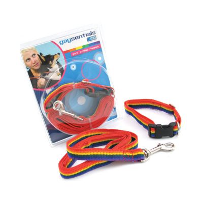 Gs Pet Combo Leash collar medium