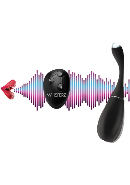 Voice Activated 10x Vibrating Egg With Remote Control