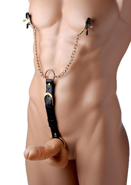 Penitentiary Nipple Clamps And Cock Ring Set