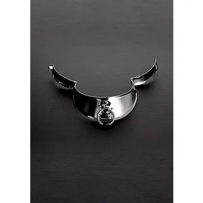 Locking Men s Collar With Ring 13 5 Inches Silver