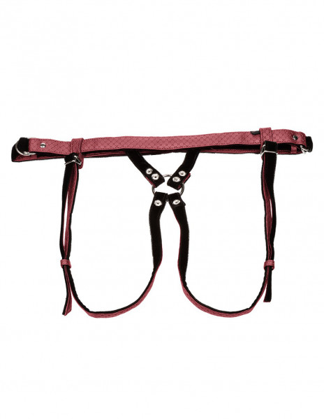 Her Royal Harness Regal Duchess
