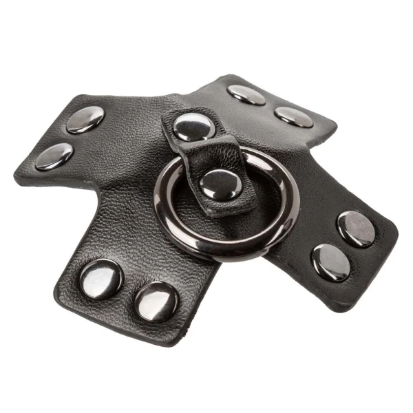 Euphoria Collection O-Ring Pasties By CalExotics