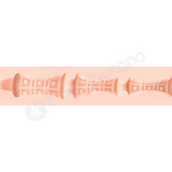 Fleshlight Girls Riley Reid Euphoria Masturbator