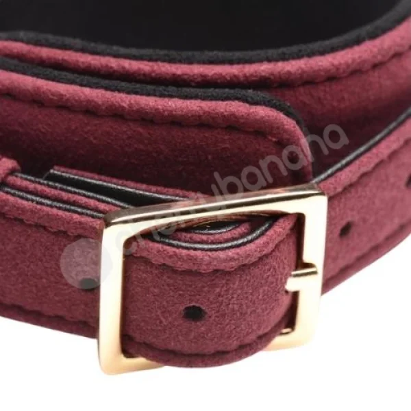 Master Series 6 Piece Burgundy Velvet Bondage Set