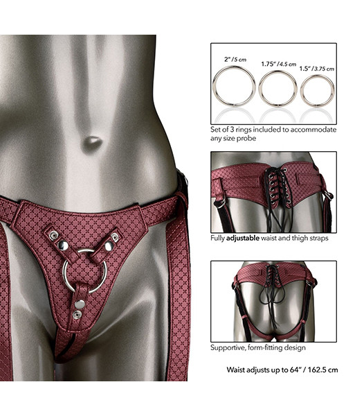 Her Royal Harness The Regal Queen