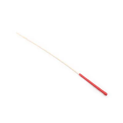 Disciple Cane Red
