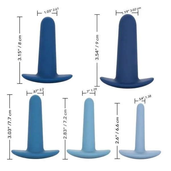 They-Ology 5 Piece Wearable Anal Training Set
