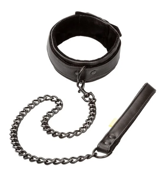 Boundless Collar & Leash