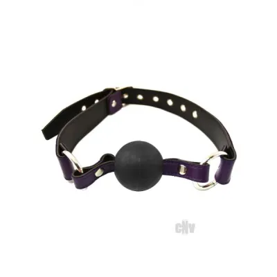 Rouge Ball Gag Purple