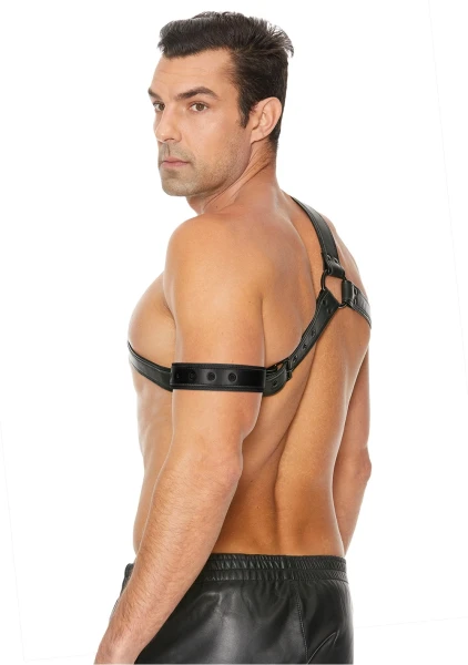 Gladiator Harness