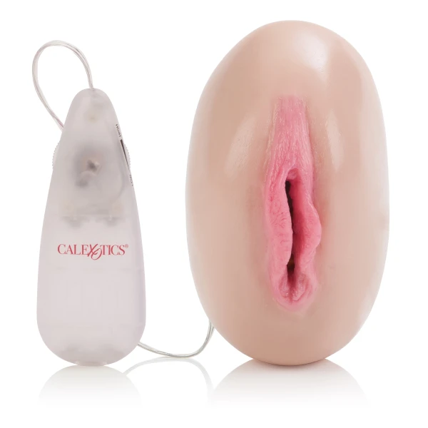 Sultry vibro pussy