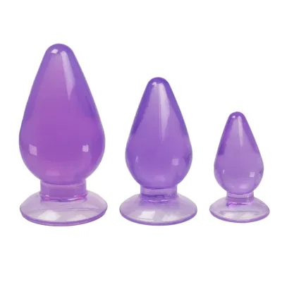 Bondara Booty Camp Purple 3 Piece Butt Plug Training Kit