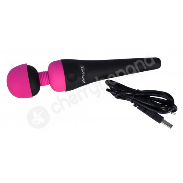PalmPower Rechargeable Personal Massager