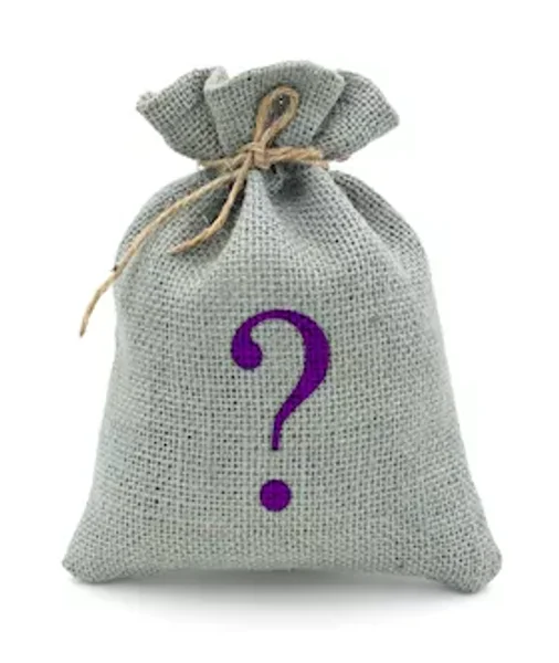 Mystery Bag Anal Toy — image 2 of 2