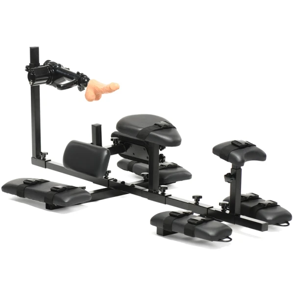Master Series Subversion Stockade and Sex Machine
