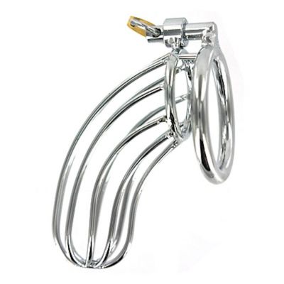 The Bird Cage Chastity Device Medium Silver Medium