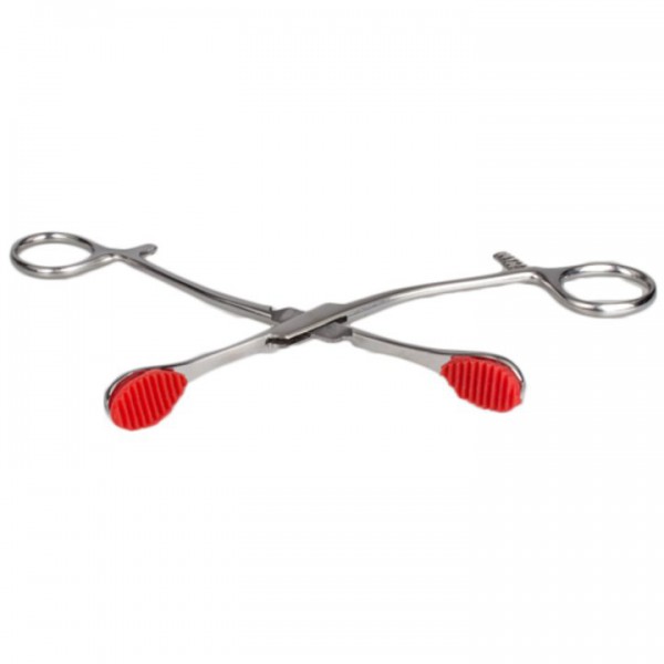 Torment Stainless Steel Young Forceps