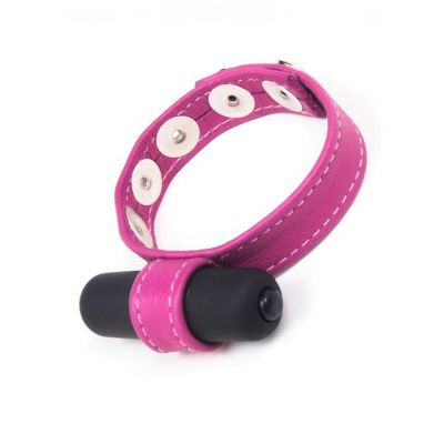 Joanna Angel Cock Ring With Bullet Vibe