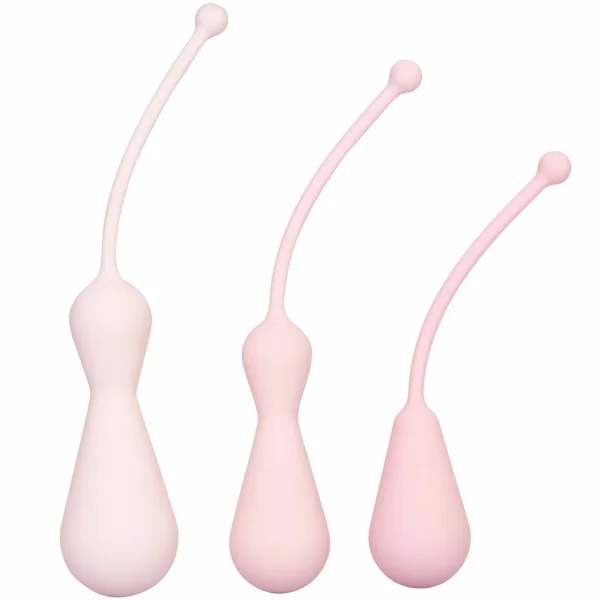 Inspire Weighted Silicone Kegel Training Kit