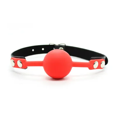 Please Silicone Ball Gag