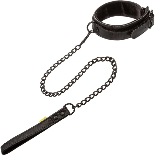 Boundless Collar and Leash
