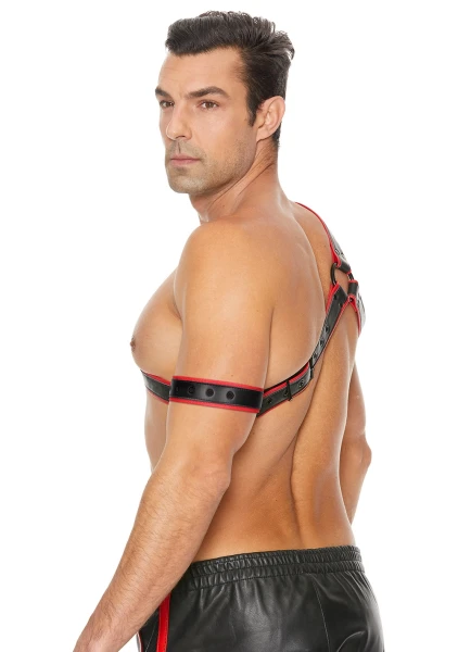 Gladiator Harness