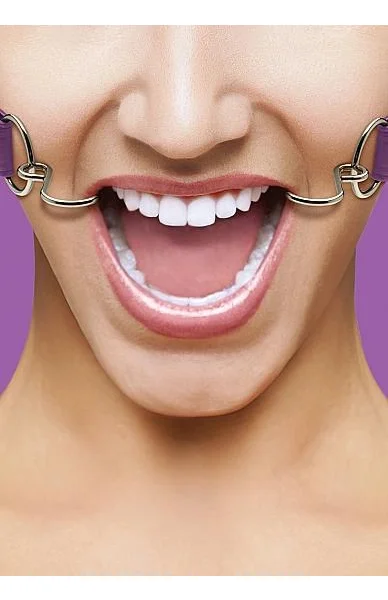Ouch Hook Gag with Leather Straps O/S