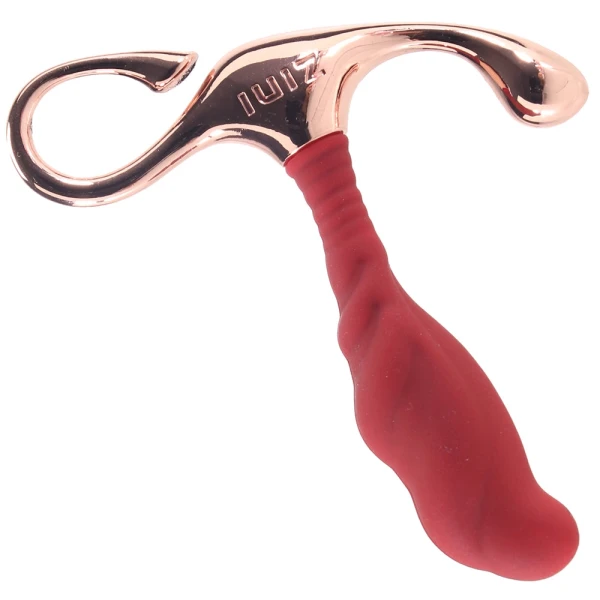 Zini Janus Bordeaux Lamp Iron Prostate Massager in M — image 4 of 6