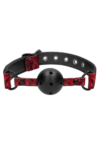 Ouch Ball Gag