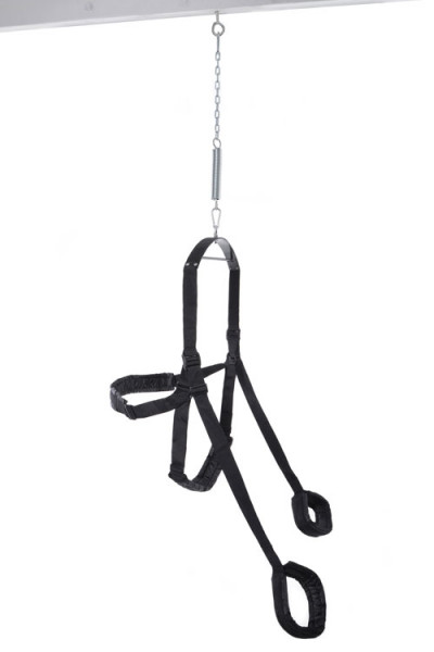 Pipedream Fetish Fantasy Love Swing