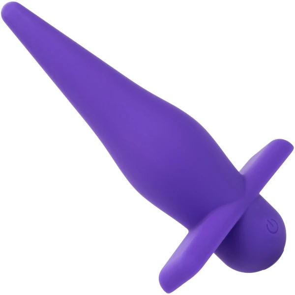 Rechargeable High Intensity Anal Probe in Purple
