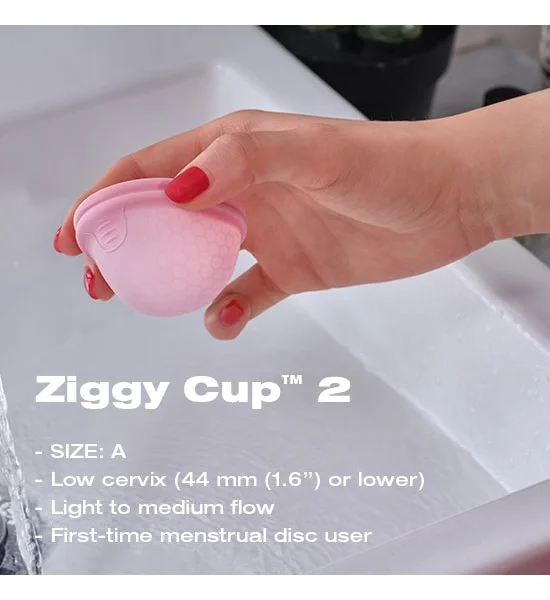 Intima Ziggy Cup 2