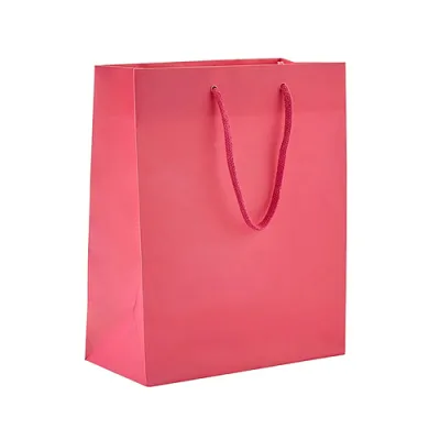 Gift Bag Pink Small