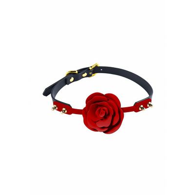 Luxurious Romantic Bondage Play Kit Sex toys and bondage