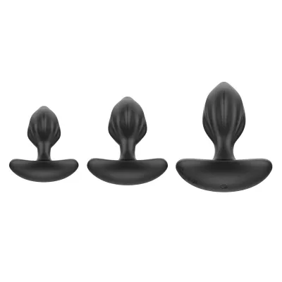 Desire Me Silicone Anal Plug Set The Large Plug Vibrates