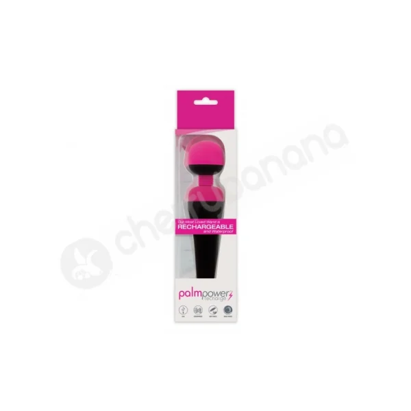 PalmPower Rechargeable Personal Massager