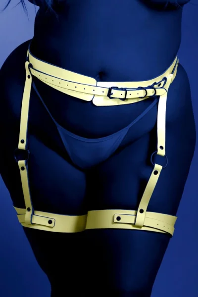 Fantasy Lingerie Strapped In Leg Harness