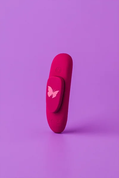 Wild Secrets Adore Panty Vibrator with Remote