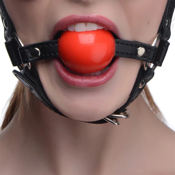Strict - Blindfold Harness and Ball Gag
