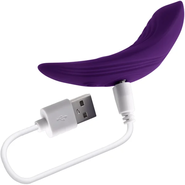 Playboy Our Little Secret Rechargeable Silicone Panty Vibe With Remote - Purple