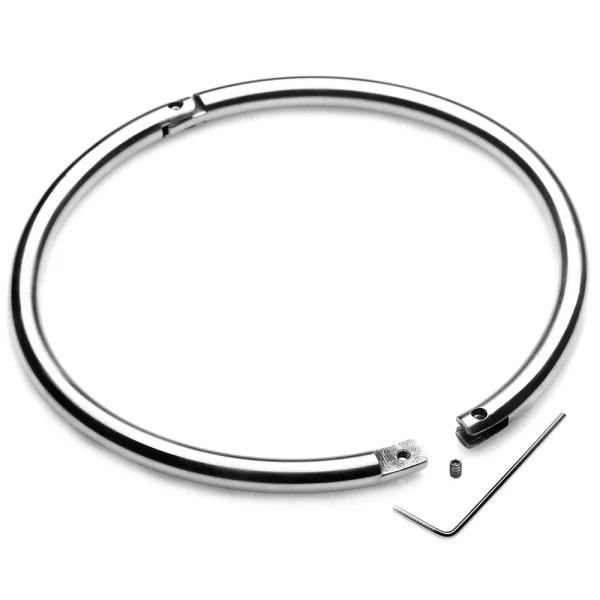 Master Series Possession Steel Lock Collar
