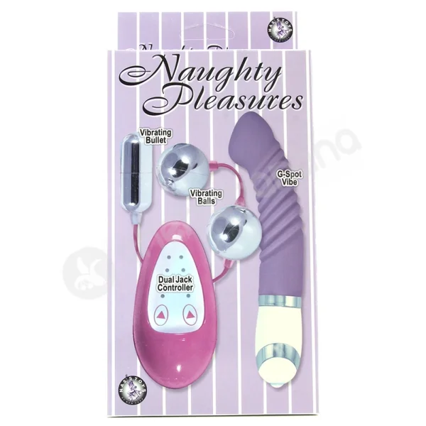Naughty Pleasures Purple Sex Toy Kit