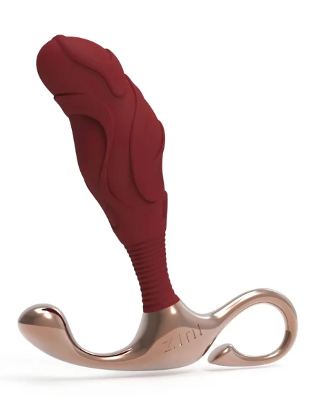 Zini Janus Bordeaux Lamp Iron Prostate Massager in S