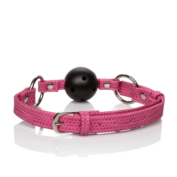 Tickle Me Pink Ball Gag