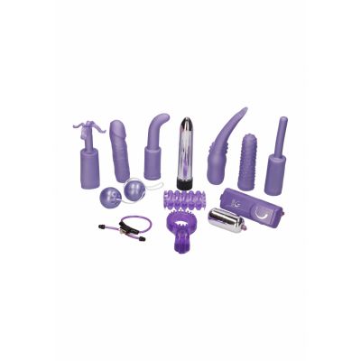Dirty Dozen Toy Kit Purple