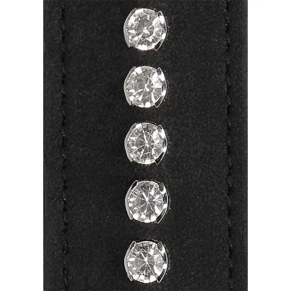 Ouch Diamond Studded Collar With Leash
