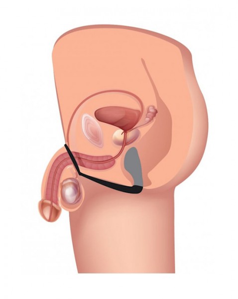 Explorer Ii Prostate Stimulator And Cock Ring - Black — image 5 of 10